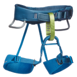 Image of the Black Diamond Momentum Harness - Kid's Kingfisher