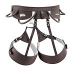 Image of the Petzl AQUILA L