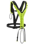 Image of the Edelrid TREEREX BUNGEE CHEST