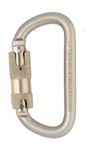 Image of the DMM 10mm Steel Equal D Kwiklock Captive Bar Gold