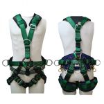 Image of the Buckingham Y STYLE RETRO HARNESS