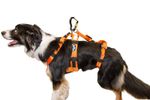 Image of the Sar Products Dog Harness