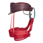 Image of the Black Diamond Momentum Harness - Kid's Wild Rose