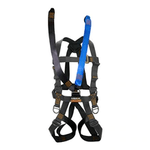 Image of the Fusion Pegasus Full Body Harness L