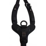 Image of the Yates Voyager Harness, L