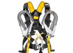 Image of the Petzl NEWTON international version 2
