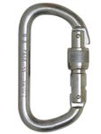 Image of the Foin Steel D Screwgate Karabiner 10 mm