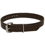 Thumbnail image of the undefined SINGLE PIECE NYLON CLIMBER STRAP 26″