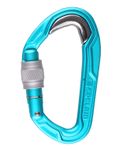 Image of the Edelrid BULLETPROOF SCREW Icemint