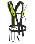 Image of the Edelrid TREEREX BUNGEE CHEST