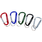 Image of the Rock Empire Promo Carabiner