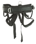 Image of the CMC Rescue Harness, Large