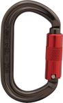 Image of the ISC Offset Oval Karabiner Supersafe