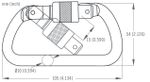 Image of the DMM 10mm Steel Equal D Screwgate Captive Bar Gold