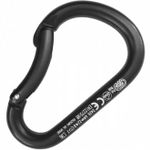 Thumbnail image of the undefined PADDLE BENT GATE Black